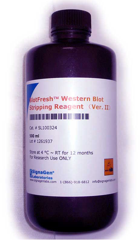 BlotFresh� Western Blot Stripping Reagent (Ver. II)
